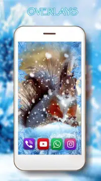 Winter Squirrel Forest Screen Shot 1