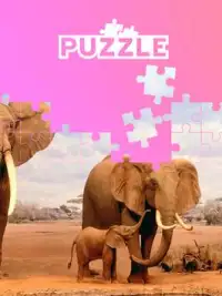 Animals of Africa: Pretty animal puzzles Screen Shot 2