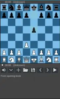 Chess Board Online Screen Shot 2