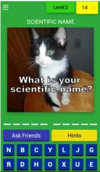 Cats Quiz Trivia Screen Shot 3