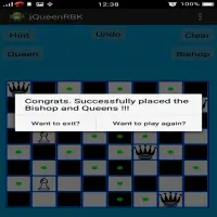 Chess Queen,Rook,Bishop & Knight Problem Screen Shot 2