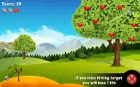 Apple Shooter:Slingshot Games Screen Shot 10