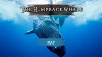 The Humpback Whales Screen Shot 1