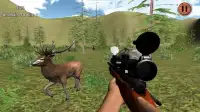 Forest Sniper Bear Hunter Screen Shot 5