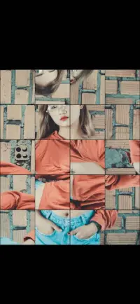 Jeu de puzzle photo - Puzzle photo Mix and Fold Screen Shot 3