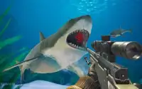 Открытый мир охота на акул бесплатно Screen Shot 0