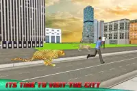 wilde boos cheetah simulator Screen Shot 0