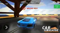 Car Simulator: Steering Wheel Possessor Screen Shot 0