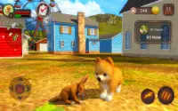 Pomeranian Dog Simulator Screen Shot 18