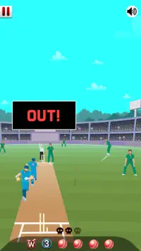 World Cricket Game Champion Screen Shot 2