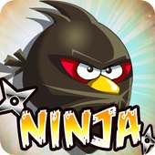 Angry Ninja 2017