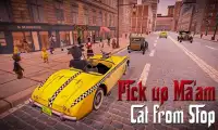 Mad Animal Russian Cars Taxi – Crazy Driver Sim Screen Shot 3