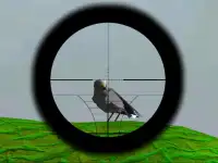 الطيور اطلاق النار سفاري Screen Shot 4