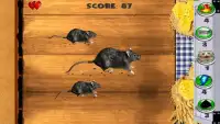 Smash Mice Screen Shot 3