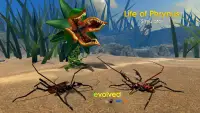 Life of Phrynus - Whip Spider Screen Shot 2