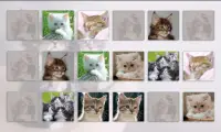 Cats Memory Game Free Screen Shot 4