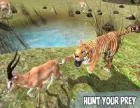 Angry Tiger Jungle Survival 3D Screen Shot 7