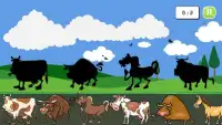 Shadow Puzzle For Kids -education,animals,vehicles Screen Shot 3
