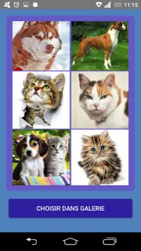 dog and cat puzzle Screen Shot 7