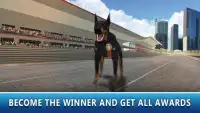 Dog Racing Tournament Sim 2 Screen Shot 3