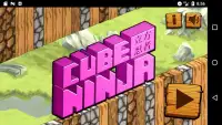 Cube Ninja Running Screen Shot 3