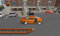 Real Driving School Simulator Screen Shot 1