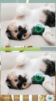 Tìm sự khác biệt Cat Games Screen Shot 0