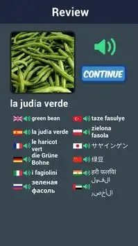 Learn Vegetable Names in Spanish Screen Shot 3