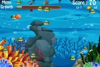 Fish Big Eat Fish Small Screen Shot 1