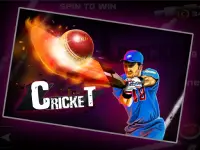 Cricket 3D Screen Shot 3