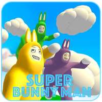 GUIDE FOR SUPER BUNNY MAN GAME