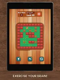 Sokoban - wood block free cube puzzle game Screen Shot 15