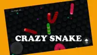 Crazy Snake - Slither Game Screen Shot 1