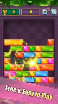 Drop Puzzle: Slide Block Puzzle Screen Shot 1