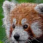 Jigsaw Puzzles - Lost Wild