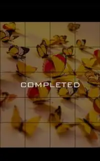 Beautiful Butterfly Jigsaw Puzzle Game Screen Shot 2