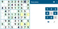 Ergo Sudoku Screen Shot 1