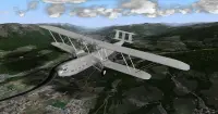 Leo's Flight Simulator Gratis Screen Shot 6