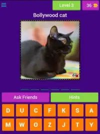 Cat Lovers Guess The Cat Game Screen Shot 15
