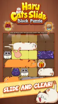 Haru Cats: Cute Sliding Puzzle Screen Shot 5