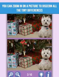 Find difference: Animals Screen Shot 3