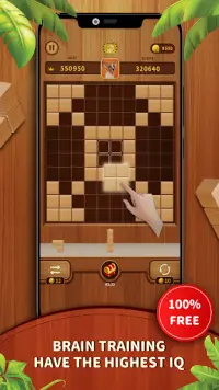 Woody Block Puzzle 99 - darmowa gra logiczna Screen Shot 3