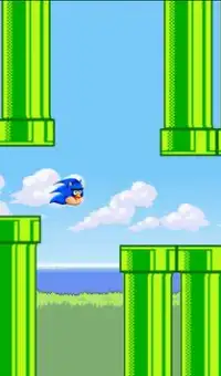Floppy Sonic Bird Angry Screen Shot 7