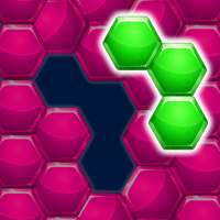 Block Puzzle Hexa Puzzle Game