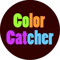 Color Catcher Saga