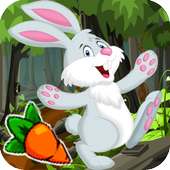 Looney Bunny Adventure Dash