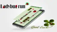 Ladybug Run 2017 Screen Shot 0