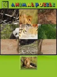 Kids Animal Puzzle Screen Shot 2