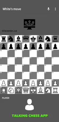 Chess H5: Talk & Voice control Screen Shot 1