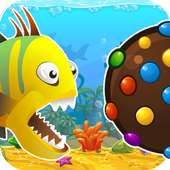 Baby Fish Candy Land